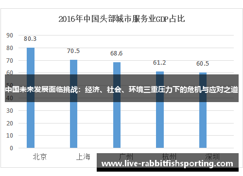 中国未来发展面临挑战：经济、社会、环境三重压力下的危机与应对之道